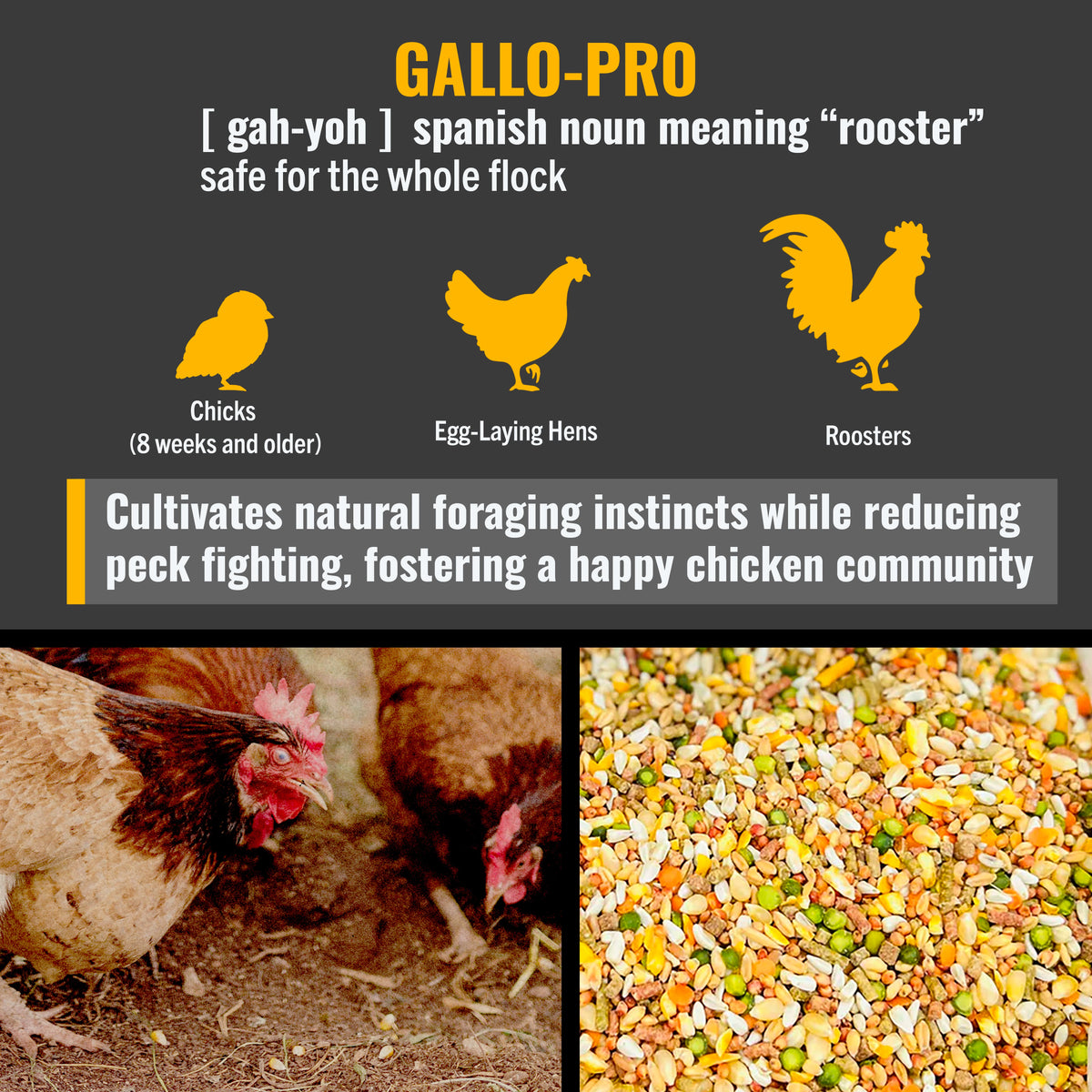 Gallo Pro